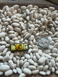 Honey Dahlia Bar Necklace