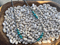 Cloud Mountain Round Bead and Sterling Pearl Necklace