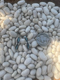 Zuni Needlepoint Half Hoops