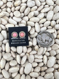 Pink Conch Every Day Studs